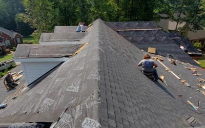 When Is The Time To Replace A Shingle Roof?